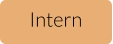 Intern